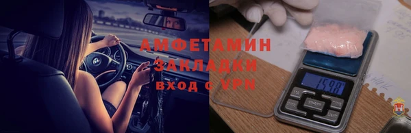 индика Горняк