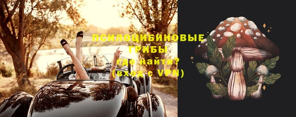 эйфоретик Аркадак