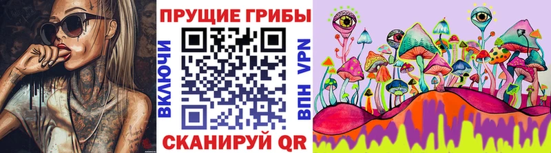 где купить нарко площадка наркотические препараты Псилоцибиновые грибы Psilocybine cubensis Коломна